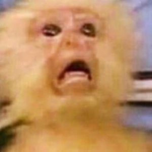 Meet your Posher, Ofir